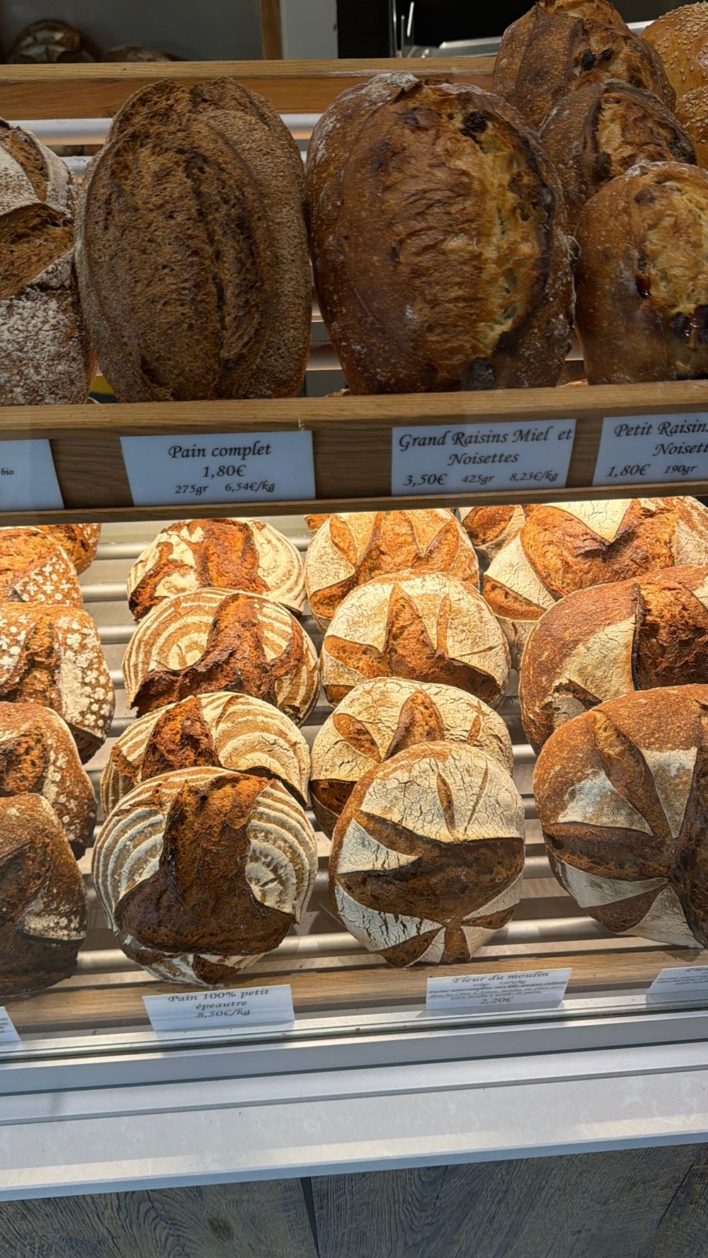 Sourdough loaves on a bakery counter
