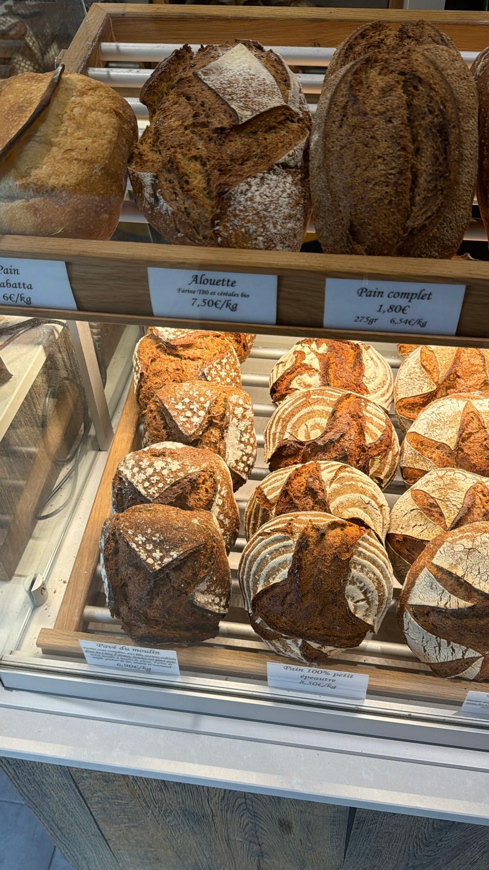 Sourdough loaves on a bakery counter