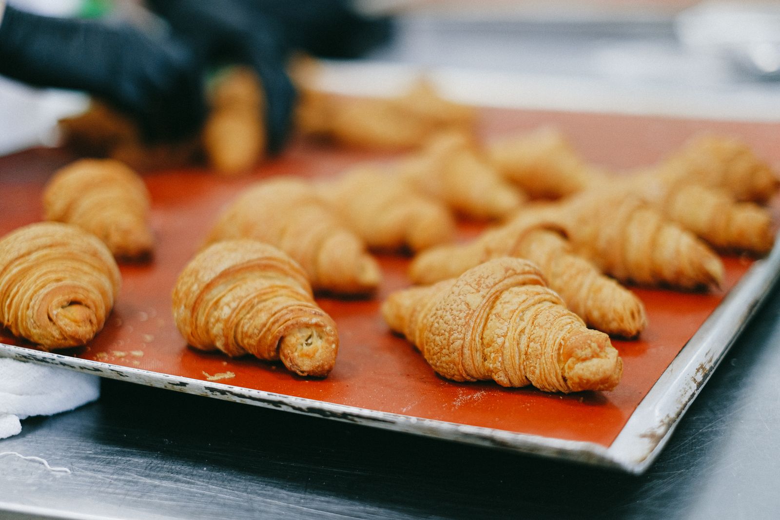 A tray of golden croissants